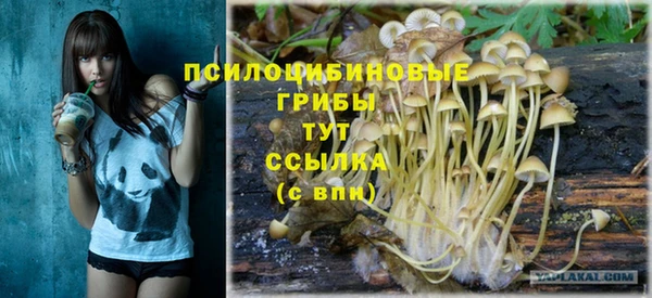 прущие крисы Армянск