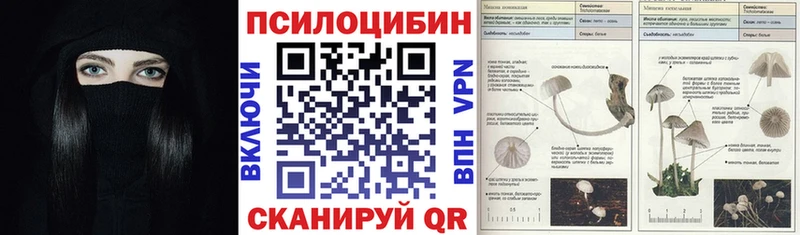 Псилоцибиновые грибы мухоморы  магазин    Нефтекумск 